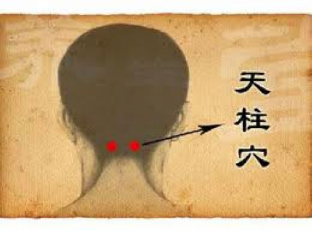 育揚中醫